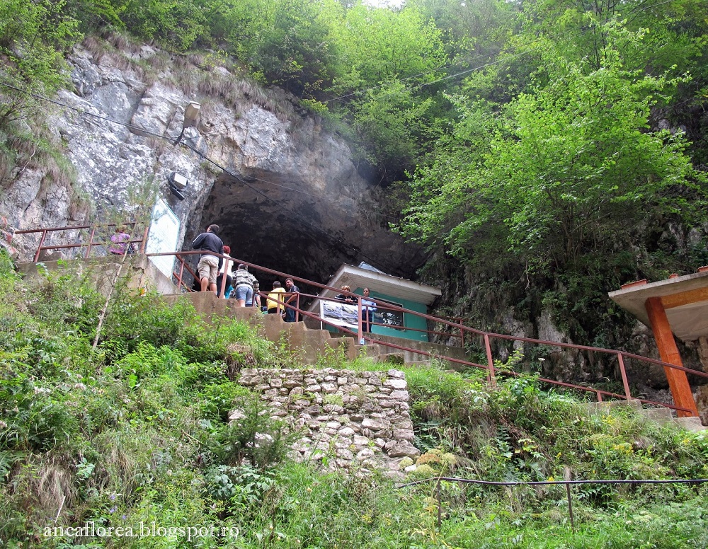Peștera Dâmbovicioara